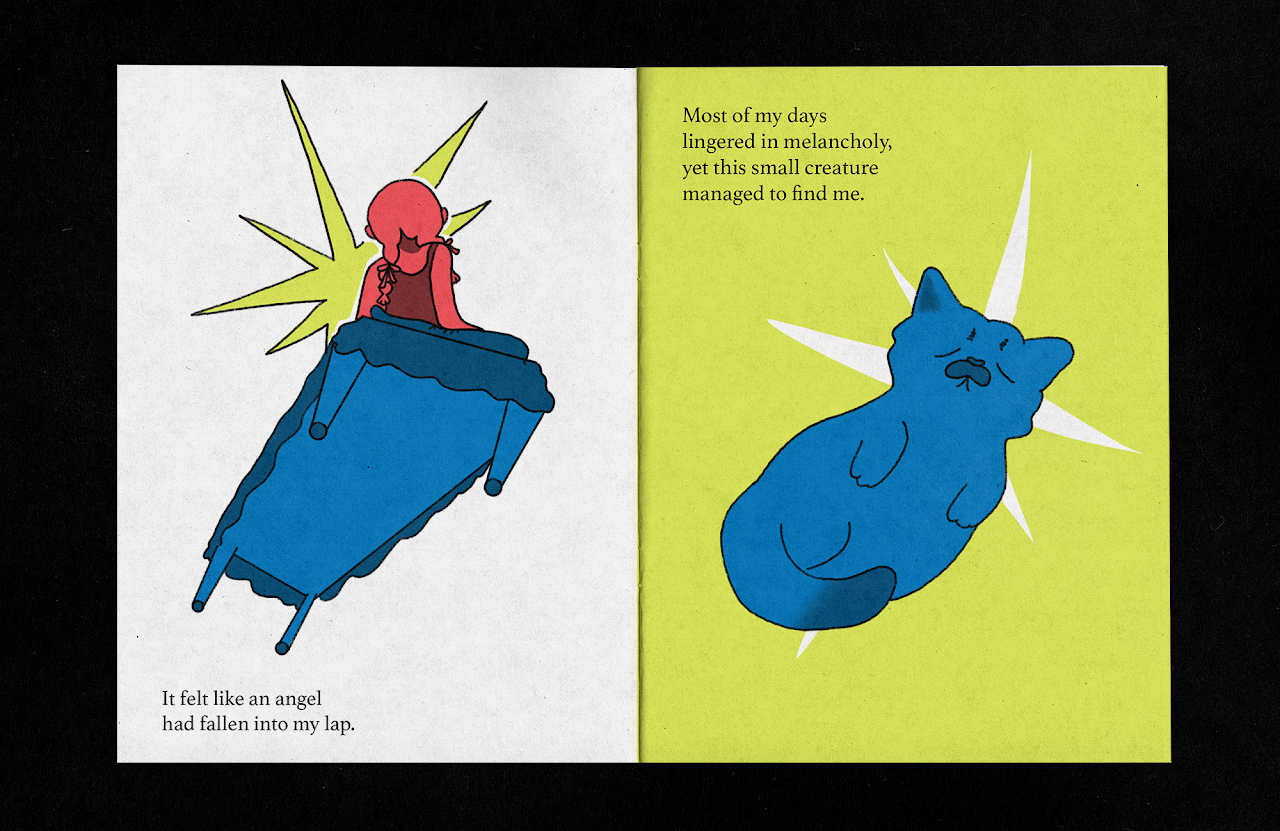 'I Fed My Cat Tears' Zine
